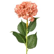 Produkt Hortensja Różowa 80cm 1 szt.