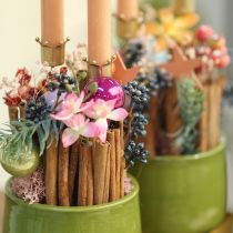 Produkt Świecznik korona złoty, świecznik metalowy 4 szt.