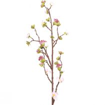 Produkt Gałązka kwiatu wiśni różowa 95cm