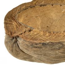Produkt Kokos jako miska donica naturalna doniczka 20cm 5 szt