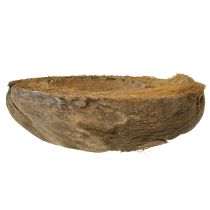Produkt Doniczka kokosowa, naturalna, 20 cm, 5 sztuk