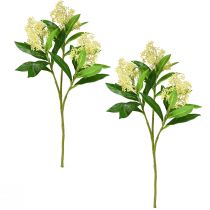 Produkt Sztuczne kwiaty kremowe Skimmia japonica Skimmie 45cm 2szt