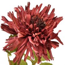 Produkt Sztuczna chryzantema w kolorze bordowym Ø5cm/ Ø11cm Dł.70cm