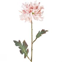 Produkt Sztuczne chryzantemy Różowy Fioletowy Ø13cm D72cm 2szt
