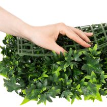 Produkt Mata ze sztucznego bluszczu 60x60 cm zielona do dekoracji ściennej