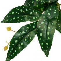 Produkt Sztuczna Begonia Sztuczna Roślina Zielona, Ciemnozielona 42×28cm
