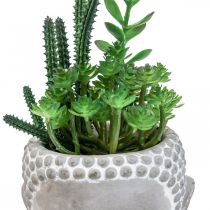Sztuczny Sukulent Doniczka Budda Ø12cm W24cm