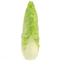 Produkt Sztuczny spiczasty manekin do jedzenia kapusty Ø5cm W18cm