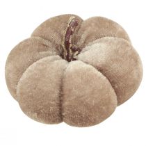 Produkt Tkanina dekoracyjna dynia dynie żółty beżowy czerwony brązowy Ø7cm 9 szt