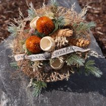 Produkt Kwiaty sztuczne, Banksia, Proteaceae Pomarańczowe Dł. 58 cm Wys. 6 cm 3 szt.