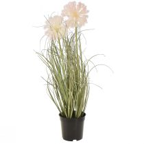 Produkt Sztuczne kwiaty ozdobne kulkowe Allium ozdobne cebulowe sztuczne 54cm