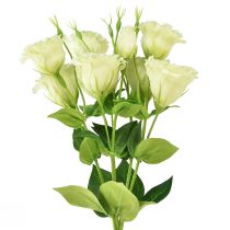 Produkt Kwiaty sztuczne Eustoma Lisianthus żółto-zielone 52cm 5 szt