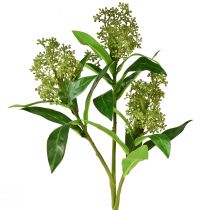 Produkt Kwiaty sztuczne zielone Skimmia japonica Skimmie 45cm 2szt