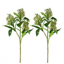 Produkt Kwiaty sztuczne zielone Skimmia japonica Skimmie 45cm 2szt