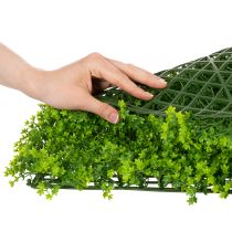 Produkt Mata z bukszpanu sztucznego 55x55 cm do dekoracyjnej aranżacji ściennej
