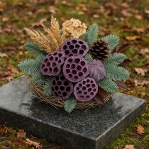 Produkt Kapsułki Lotosu, sucha florystyka, cebula lotosu różowa, sprana biel 50 sztuk