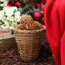 Produkt Rożki Maritima kremowo-waniliowe mieszane 5-18cm 25 szt.