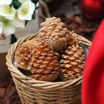 Produkt Rożki Maritima kremowo-waniliowe mieszane 5-18cm 25 szt.