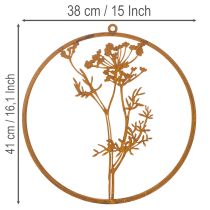 Produkt Pierścień metalowy, metal zardzewiały, pierścień dekoracyjny, dekoracja ścienna, gałązka kopru, Ø38cm