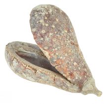 Produkt Mike Fruit egzotyczne suszone białe myte 4-6cm 50 szt