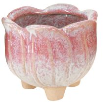 Produkt Miniaturowa doniczka ceramiczna na kwiaty różne Ø8cm wys.7cm 3 szt.
