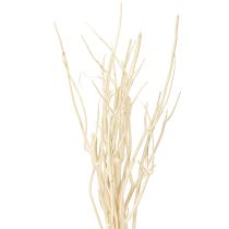 Produkt Gałązki Mitsumata białe 34-60cm 12 szt