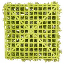 Produkt Mata ze sztucznego mchu – idealna do obrazka z mchem w kolorze jasnozielonym 25×25cm