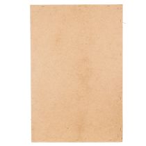 Produkt Obraz z mchu, prawdziwy zakonserwowany mech i gałązki, naturalny, 60×40cm