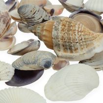 Produkt Naturalna mieszanka małży 400g