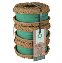Produkt OASIS® Biolit® Pierścień/Wieniec 17cm 6 szt.