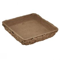 Produkt Podkład Oasis Biolit ½ cegła piankowa florystyczna 13×13×2cm 12 szt