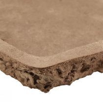 Produkt Podkład Oasis Biolit pod kostkę florystyczną 25×14×2cm 11 szt