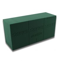 OASIS® plug-in moss maxlife standard 20 cegieł