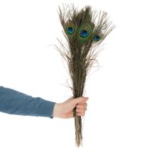 Produkt Pióra pawie, prawdziwe pióra ptasie do rękodzieła i dekoracji, 55 cm, 10 sztuk