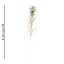 Produkt Ozdoba z piór pawich, prawdziwe pióra ptasie, długość 75-85 cm, 8 sztuk