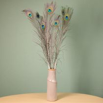 Produkt Ozdoba z piór pawich, prawdziwe pióra ptasie, długość 75-85 cm, 8 sztuk