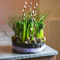 Produkt Doniczka, ozdobna forma do pieczenia, forma do sadzenia, dekoracja metalowa Ø24cm W7,5cm