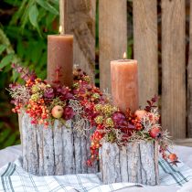 Produkt Skrzynka na rośliny drewniana z korą naturalna biel 17/24cm zestaw 2 szt