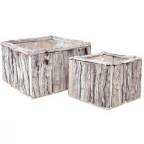 Produkt Skrzynka na rośliny drewniana z korą naturalna biel 17/24cm zestaw 2 szt