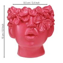 Produkt Roślina Głowa Poliresin Popiersie Doniczka Różowa 13.5×13×14cm