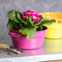 Produkt Doniczka metalowa, oryginalny design do eleganckich wnętrz i stylowej dekoracji, 17 cm, 3 sztuki