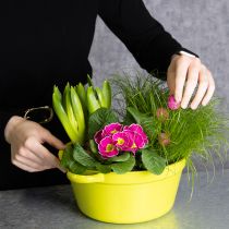 Produkt Doniczka z blachy, wiosenna dekoracja do salonu, 25cm, 3 sztuki