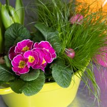 Produkt Doniczka z blachy, wiosenna dekoracja do salonu, 25cm, 3 sztuki