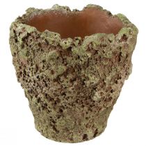 Produkt Donica rustykalna donica o wyglądzie mchu Ø17cm W16,5cm 4szt