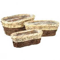 Produkt Taca na rośliny, drewno naturalne, 3 kolory, dł. 29,5/25/23 cm, 3 szt. w zestawie