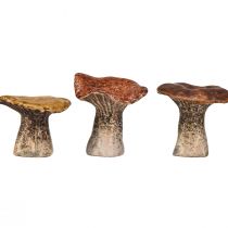 Produkt Dekoracyjne figurki grzybów inspirowane naturą - różne odcienie brązu, 6,4 cm - urocze akcenty do ogrodu i domu, opakowanie 3 szt.