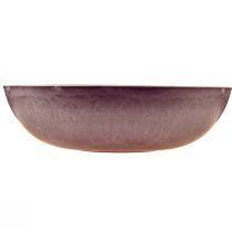Produkt Elegancka fioletowa miska plastikowa 37x10,5 cm - uniwersalna do dekoracji - 3 sztuki