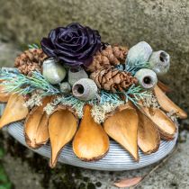 Produkt Strąki owoców i nasion Pradeep Pods 9-12 cm naturalne 50 sztuk