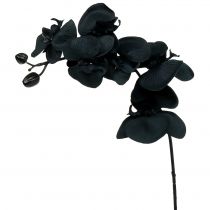Orchidea do dekoracji Czarna 54cm