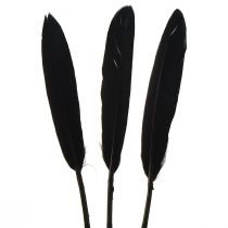 Produkt Czarne Pióra Dekoracyjne Pióra Gęsie Czarne 11-14cm 180 szt